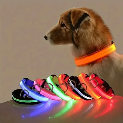 Colliers pour chien lumineux